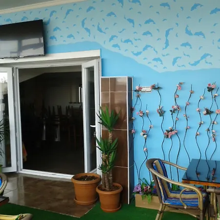 Polanin איסטמבול