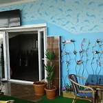 Polanin Κωνσταντινούπολη